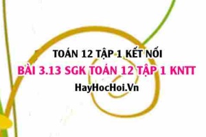 Bài 3.13 SGK Toán 12 tập 1 Kết nối tri thức